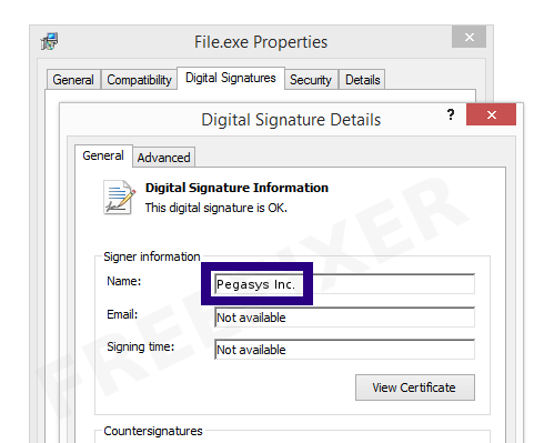 Screenshot of the Pegasys Inc. certificate